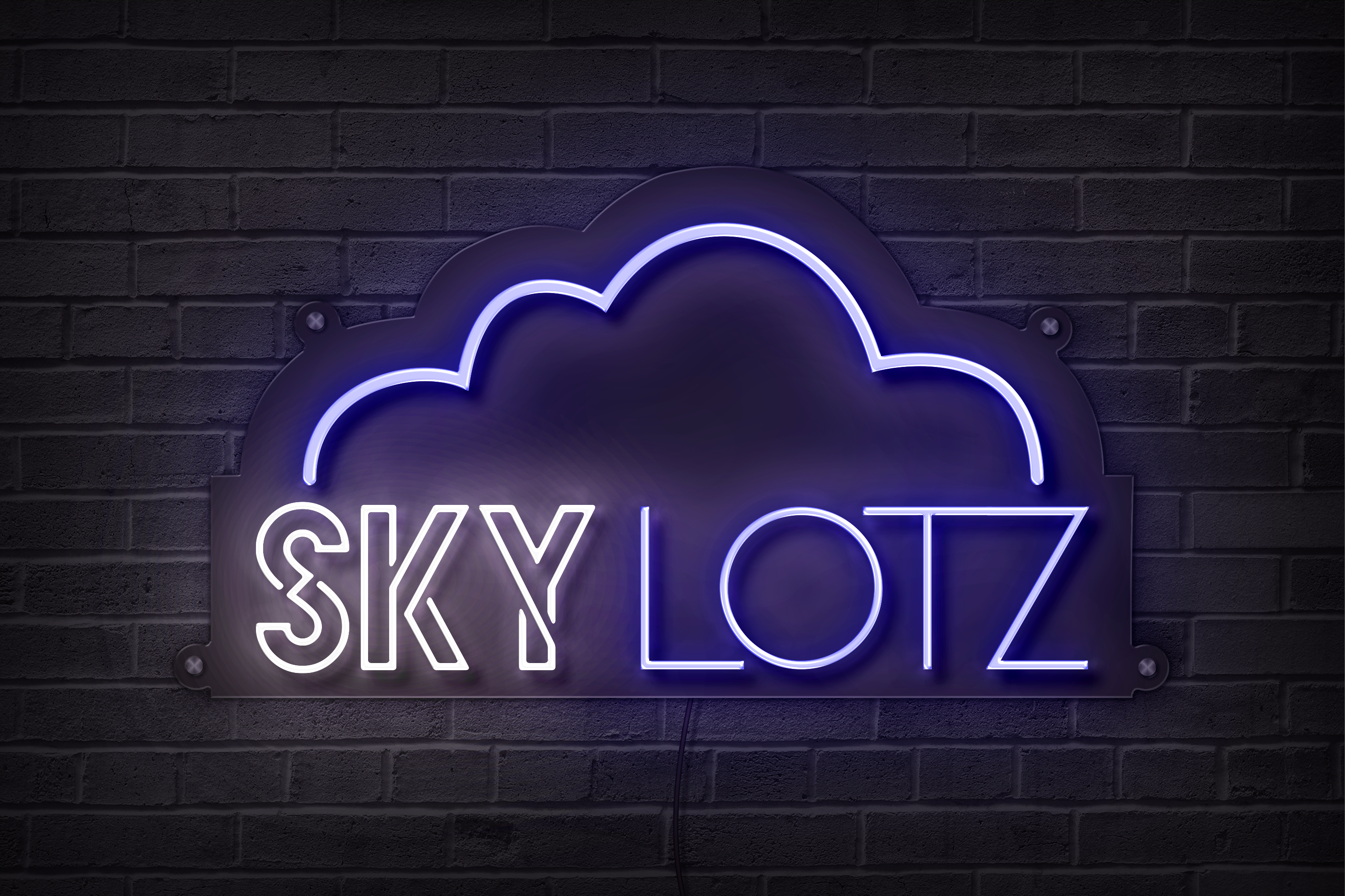Custom LED Neon Sign - Sky Lotz Custom Signs